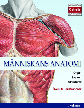 Människans anatomi